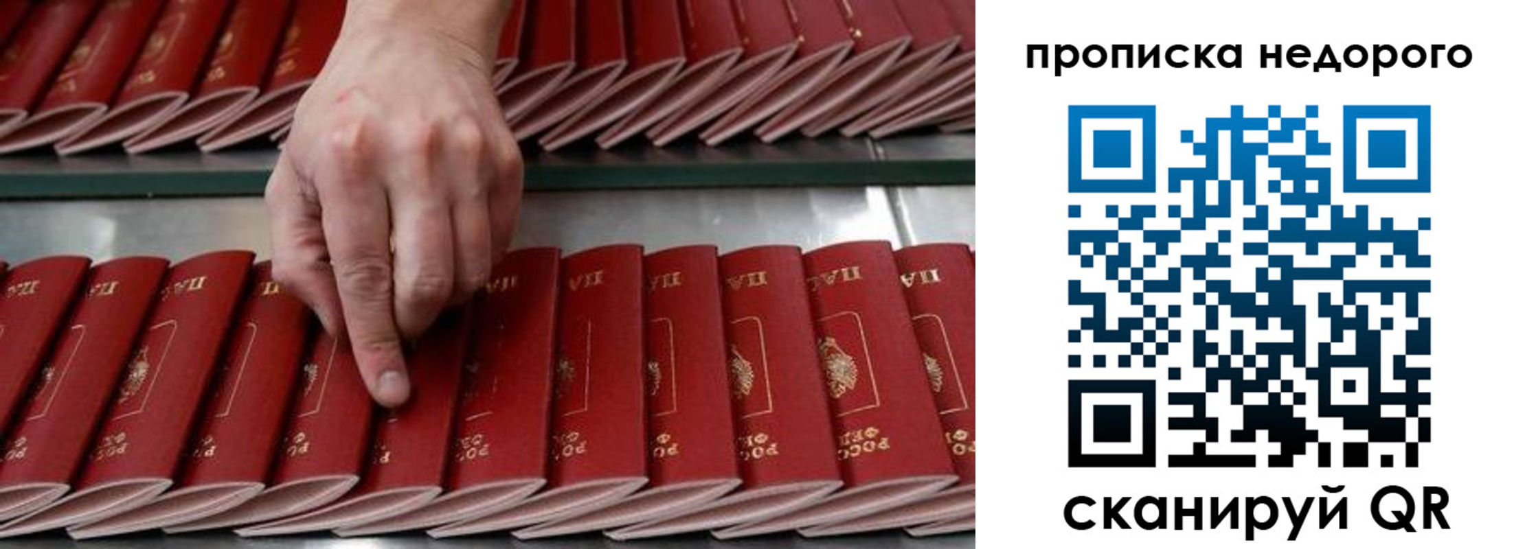 прописка регистрация в Похвистнево